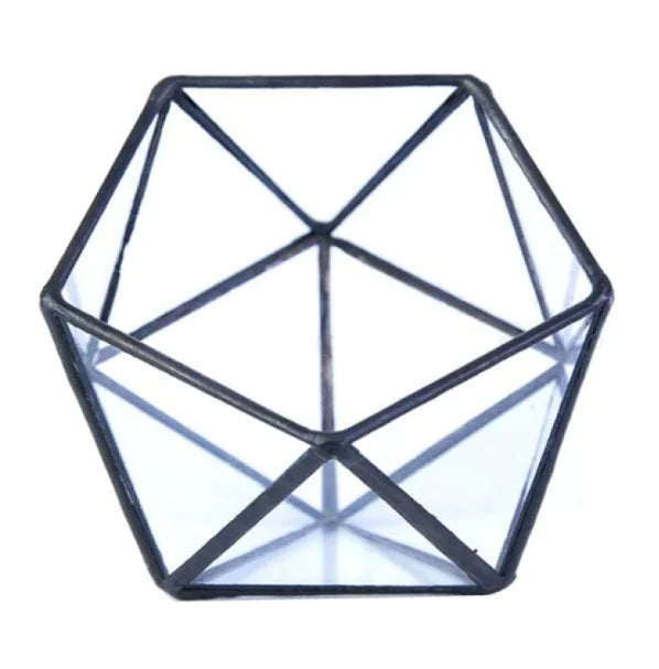 Classic Geometric Glass Terrarium