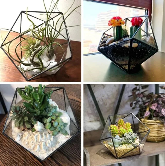 Classic Geometric Glass Terrarium