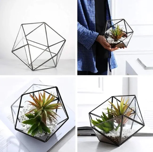 Classic Geometric Glass Terrarium